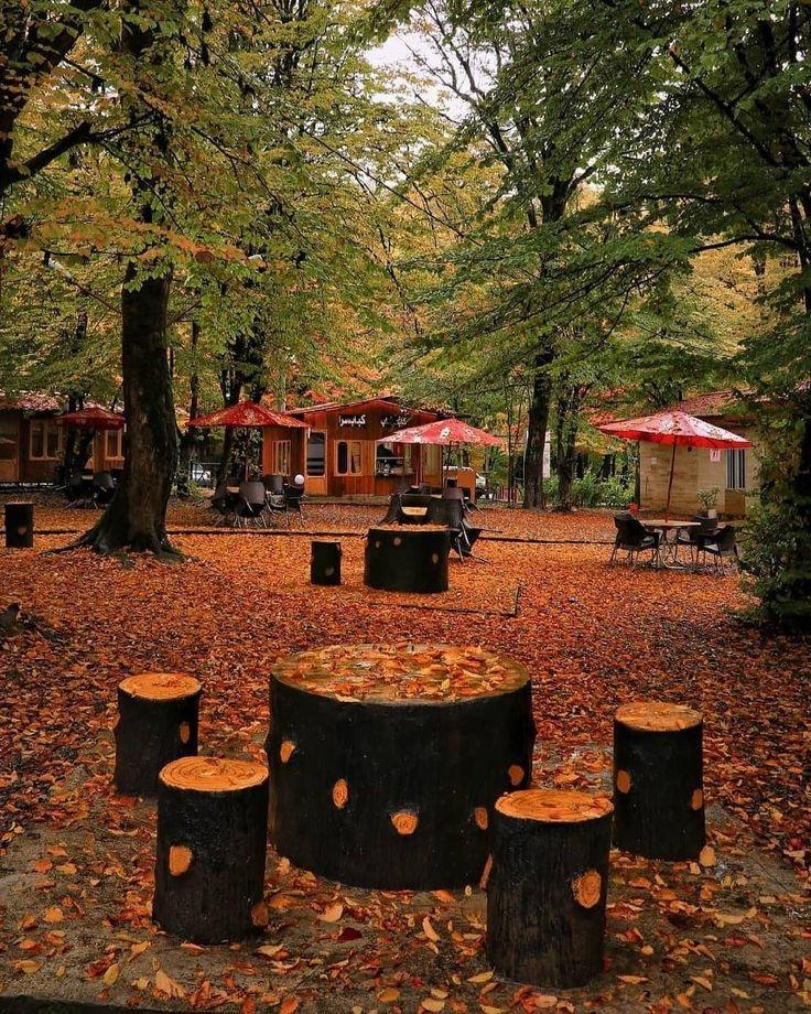 Golestan national park tour